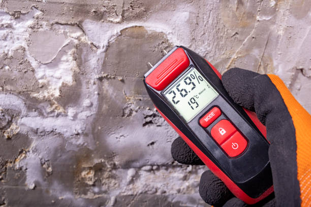 Best Emergency Mold Removal  in Budd Lake, NJ